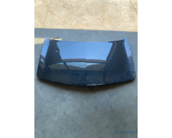 Capota motor RENAULT MEGANE II BM0/1_, CM0/1_ 2001 - 2012