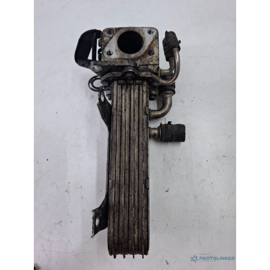 Racitor gaze VOLKSWAGEN GOLF V 1K1 2003 - 2009 1.9 TDI BRU, BXF, BXJ 038131513