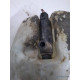 Vas/rezervor lichid de spalare parbriz AUDI A6 II 4B2, 4B4, C5 1997 - 2005 4b0955453k