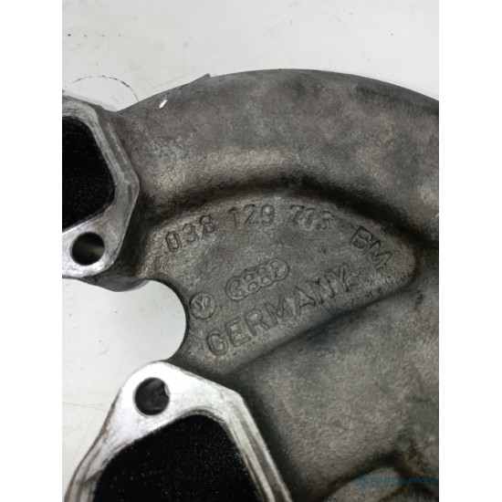 Galerie de admisie VOLKSWAGEN GOLF IV 1J1 1997 - 2007 1.9 TDI AGR, ALH 038129713