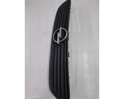 Grila capota OPEL ASTRA G Hatchback F48_, F08_, T98 1998 - 2009
