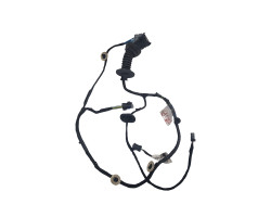Cablaj portiera spate stanga spate RENAULT CLIO III BR0/1, CR0/1 2005 -> 9801479880