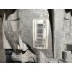 Cutie de viteze RENAULT MEGANE II BM0/1_, CM0/1_ 2001 - 2012 1.9 dCi F9Q 8.. 8200370824