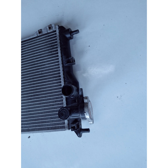 Radiator lichid de racire HYUNDAI GETZ TB 2002 - 2010 253101c200