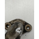Conducta racire ulei JAGUAR XF CC9_, X250 2008 - 2015 2.7 D AJD 4r8q9h449