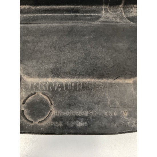 Ornamente parbriz RENAULT CLIO III BR0/1, CR0/1 2005 -> 8200293491