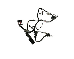 Cablaj portiera spate stanga spate AUDI A6 III Avant 4F5, C6 2005 - 2011 4g5971687aj