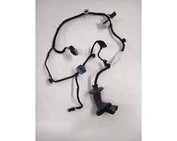 Cablaj portiera spate stanga spate RENAULT CLIO III BR0/1, CR0/1 2005 -> 9801479880