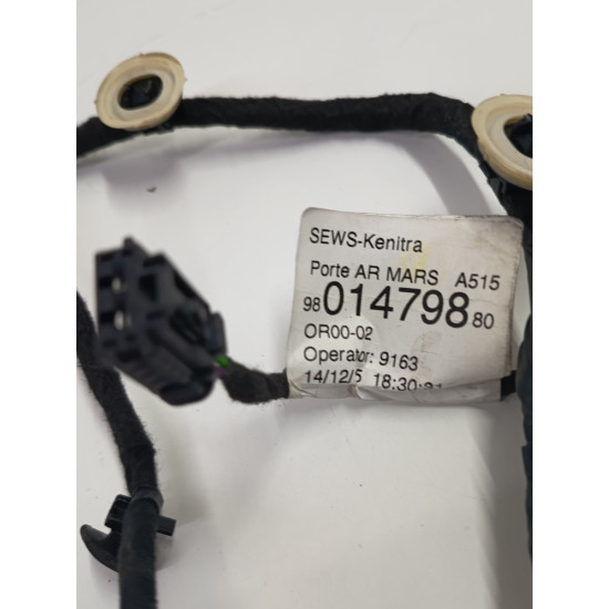 Cablaj portiera spate stanga spate RENAULT CLIO III BR0/1, CR0/1 2005 -> 9801479880
