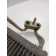 Radiator lichid de racire SMART CITY-COUPE 450 1998 - 2004 0.6 M 160 E6AL B03, M 160.910