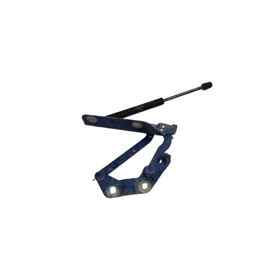Balamale capota motor dreapta fata LAND ROVER FREELANDER 2 LF_, L359 2006 - 2014 2.2 TD4 4x4 224DT, DW12BTED4 6h5216801ac