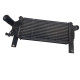 Radiator intercooler NISSAN PATHFINDER III R51 2005 -> 2.5 dCi 4WD YD25DDTi 14461eb360